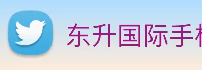 东升国际手机版下载 logo